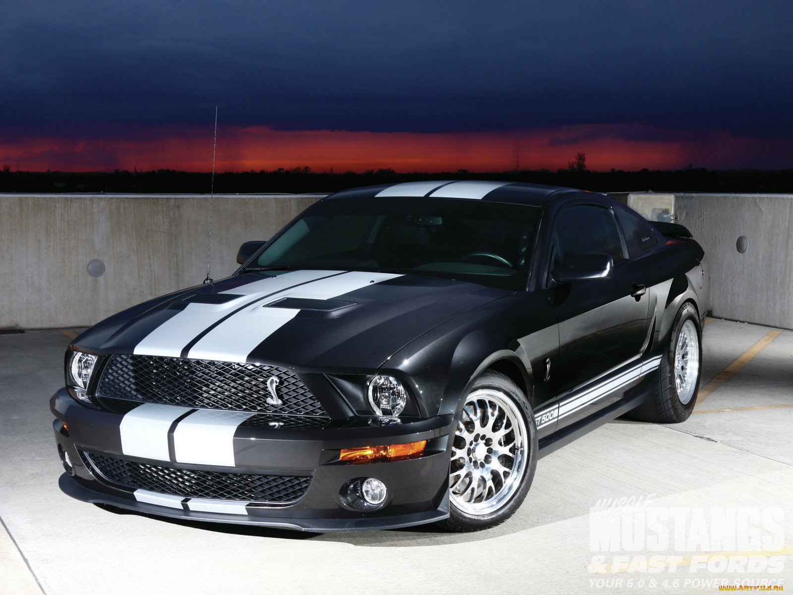 2008, ford, shelby, gt500, , mustang